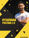 Vysnívaná postava 2.0 Vysnívaná postava 2.0