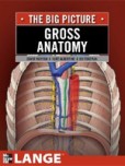 Gross Anatomy: Big Picture Gross Anatomy: Big Picture