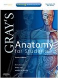 Gray´s Anatomy for Students Gray´s Anatomy for Students