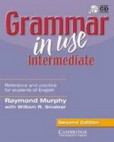 Grammar in Use Intermediate WB with Key