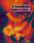 Gastrointestinal System at a Glance Gastrointestinal System at a Glance