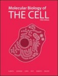 Molecular Biology of Cell, 5th Edition Molecular Biology of Cell, 5th Edition