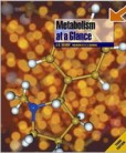 Metabolism at a Glance Metabolism at a Glance