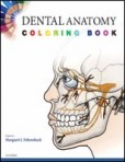 Dental Anatomy Coloring Book Dental Anatomy Coloring Book