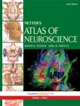 Netter's Atlas of Neuroscience Netter's Atlas of Neuroscience