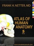 Atlas Of Human Anatomy Atlas Of Human Anatomy