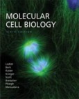 Molecular Cell Biology, 6th Edition Molecular Cell Biology, 6th Edition