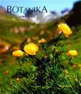 Botanika