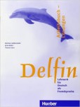 Delfin Arbeitsbuch Loesungen